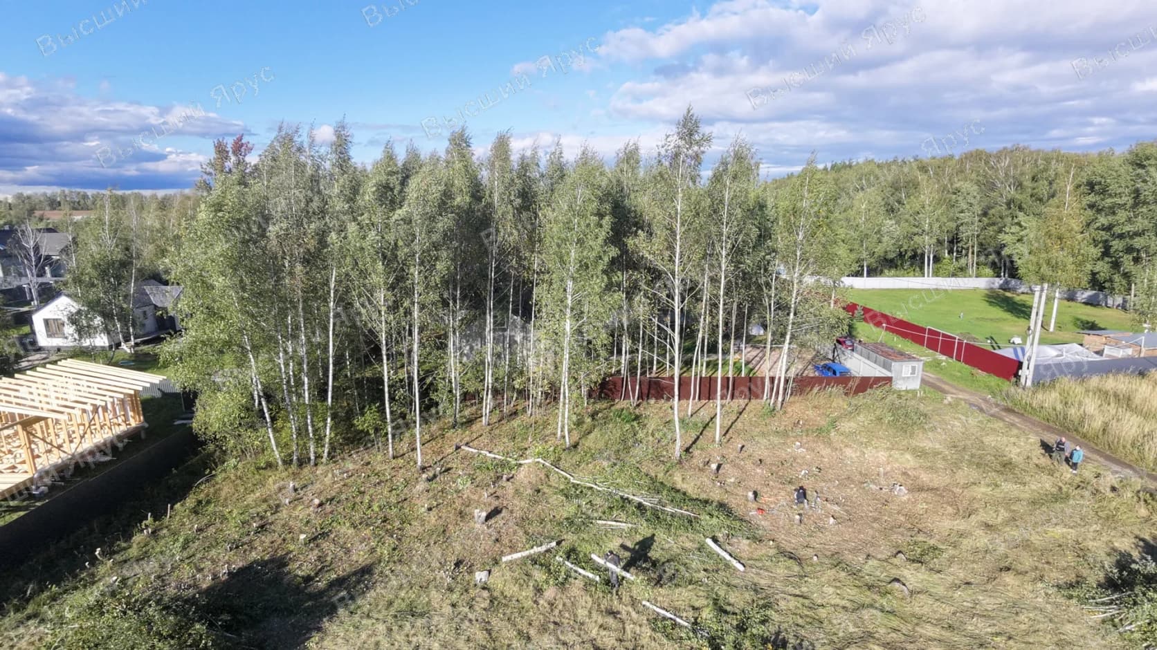 В процессе: открытая часть участка и деревья вдоль ограждения